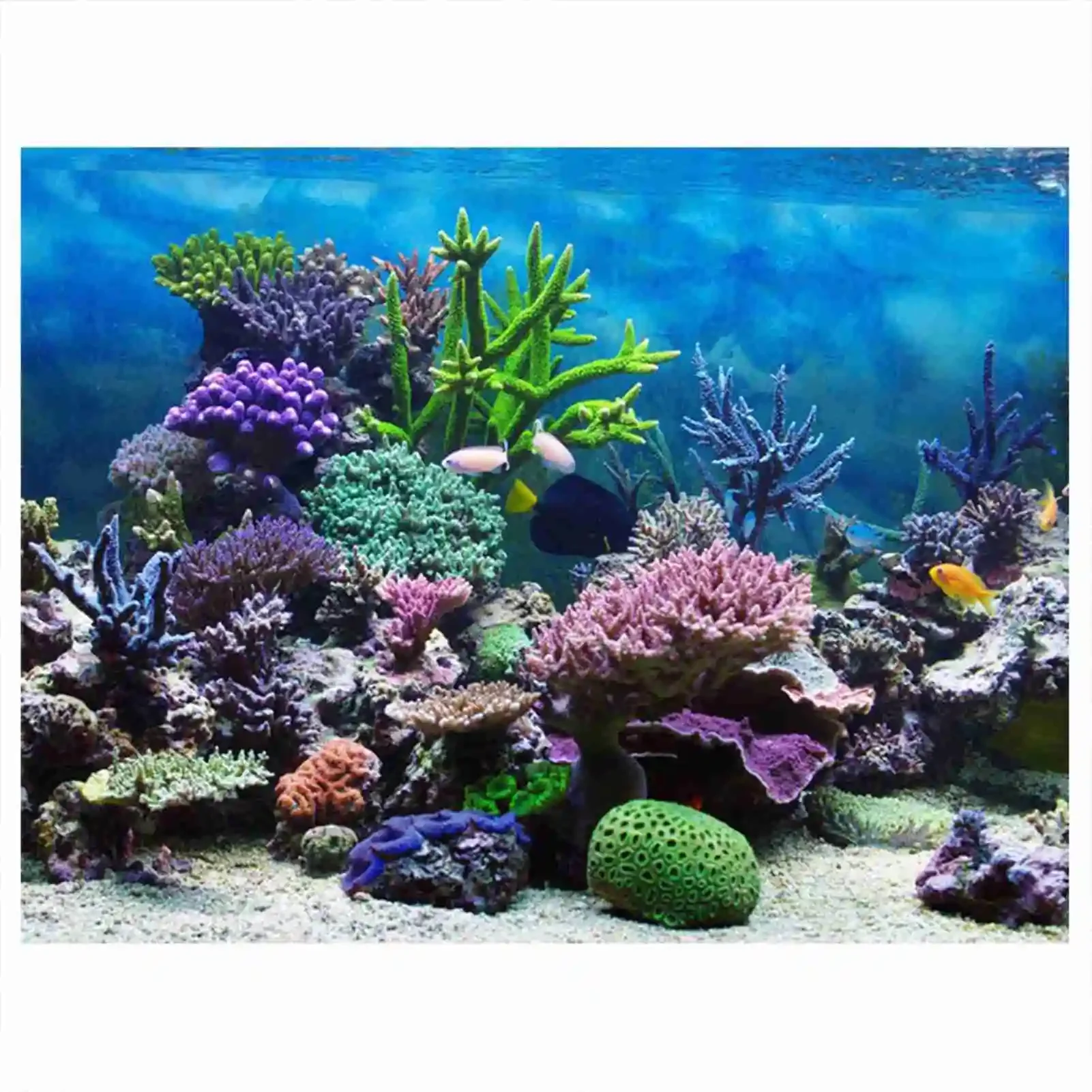Marine Aquarium Glue - 3D 수족관 풍경 포스터 벽지, 열대우림