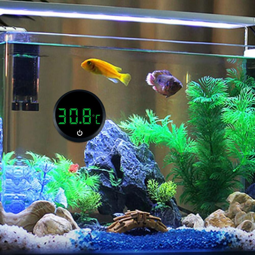 수족관 자체 접착식 온도계 Lcd 디지털 어항 미니 온 - Marine Aquarium Glue 리뷰 및 가격