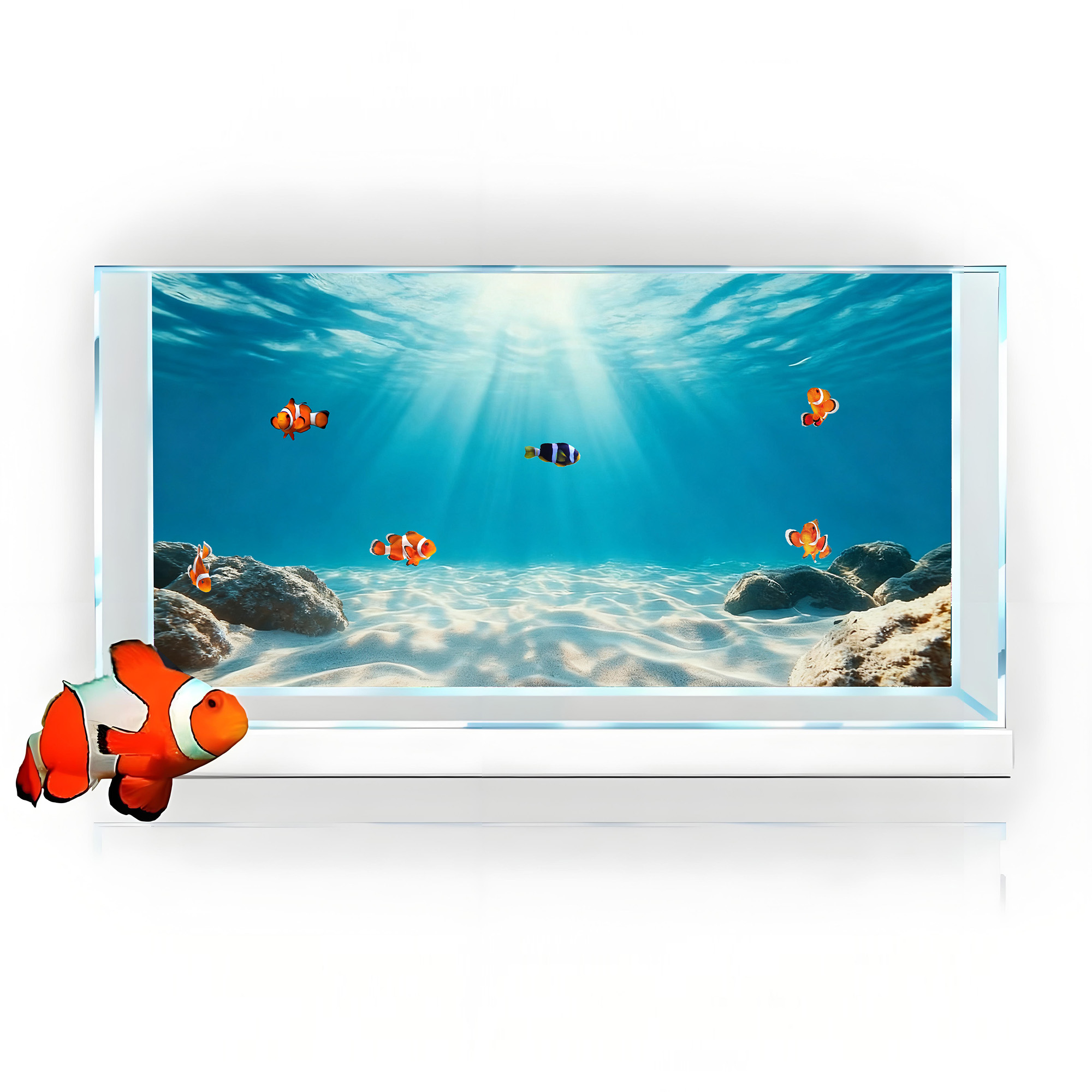 푸른 바다 투명 모래, 어항 배경 그림, 수족관 스티커 - Marine Aquarium Glue 리뷰 및 가격