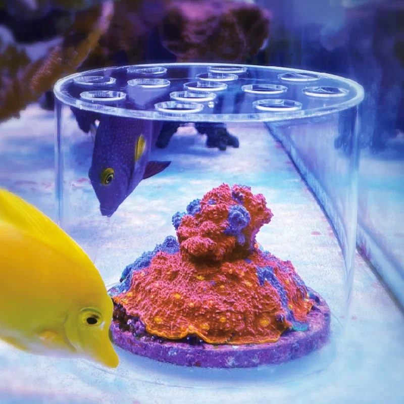 바스토션 아쿠아리움 아크릴 산호 먹이주기 후드 액체 비 - Marine Aquarium Glue 리뷰 및 가격