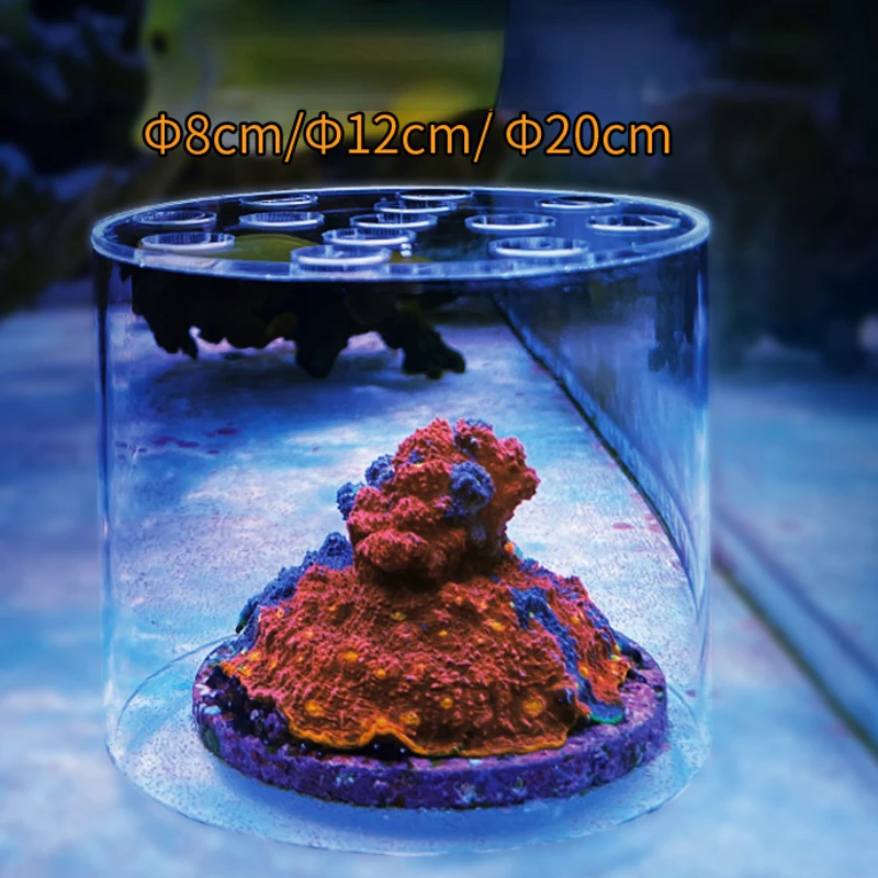 바스토션 아쿠아리움 아크릴 산호 먹이주기 후드 액체 비 - Marine Aquarium Glue 리뷰 및 가격