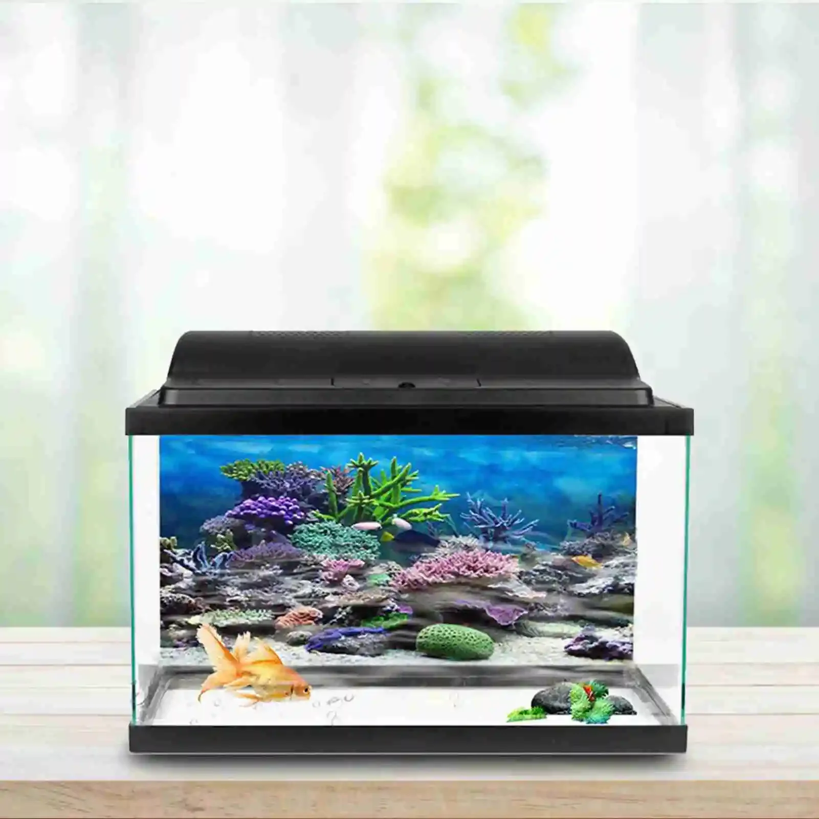 3D 수족관 풍경 포스터 벽지, 열대우림 어항 배경 장 - Marine Aquarium Glue 리뷰 및 가격