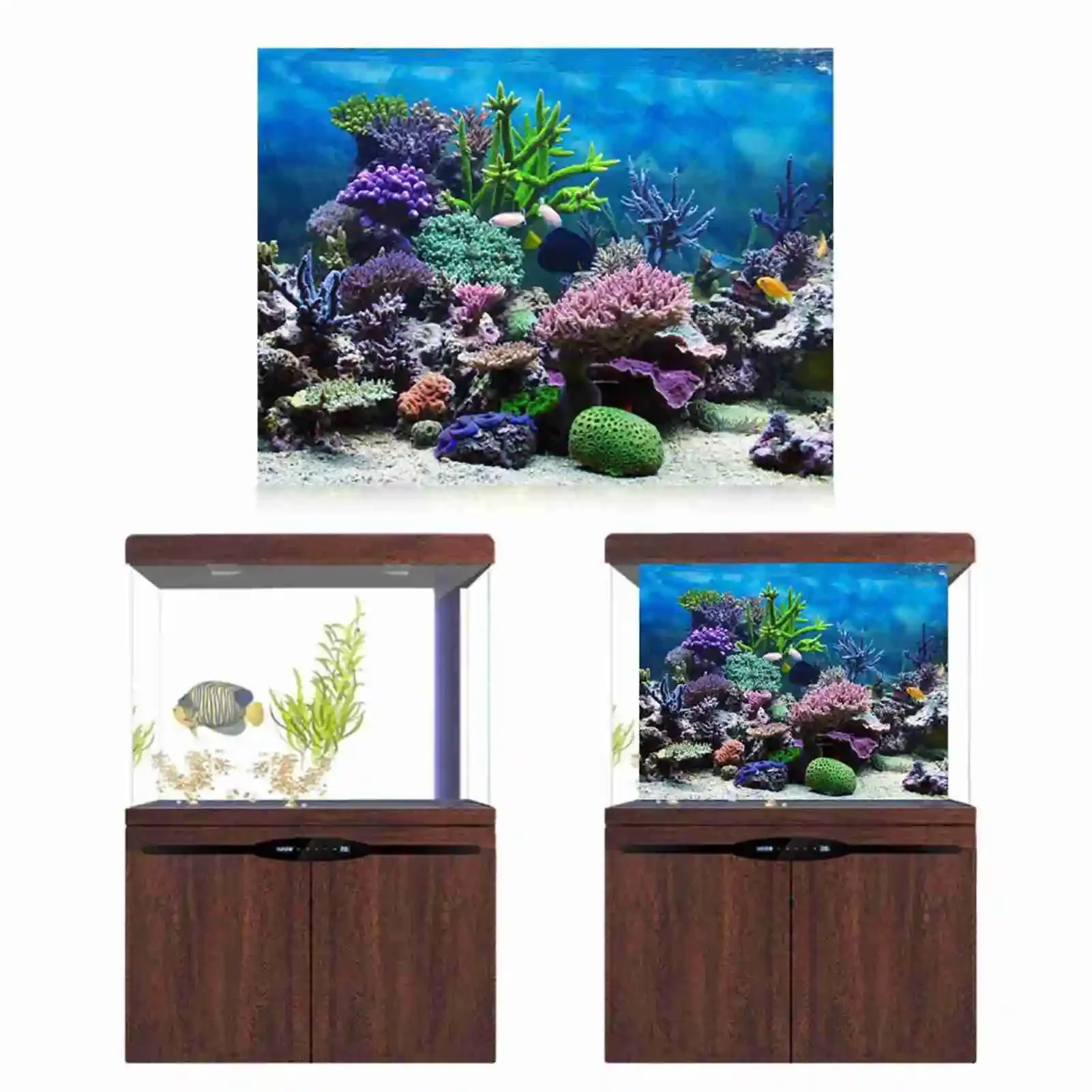 3D 수족관 풍경 포스터 벽지, 열대우림 어항 배경 장 - Marine Aquarium Glue 리뷰 및 가격