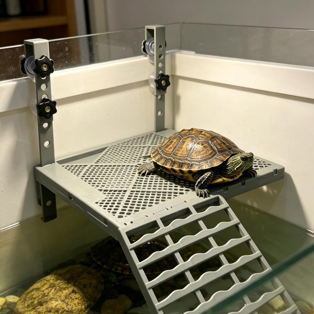 수족관 장식용 고형형 거치형 거북이 일광욕 플랫폼, 흡 - Aquarium Marine Tank 리뷰 및 가격