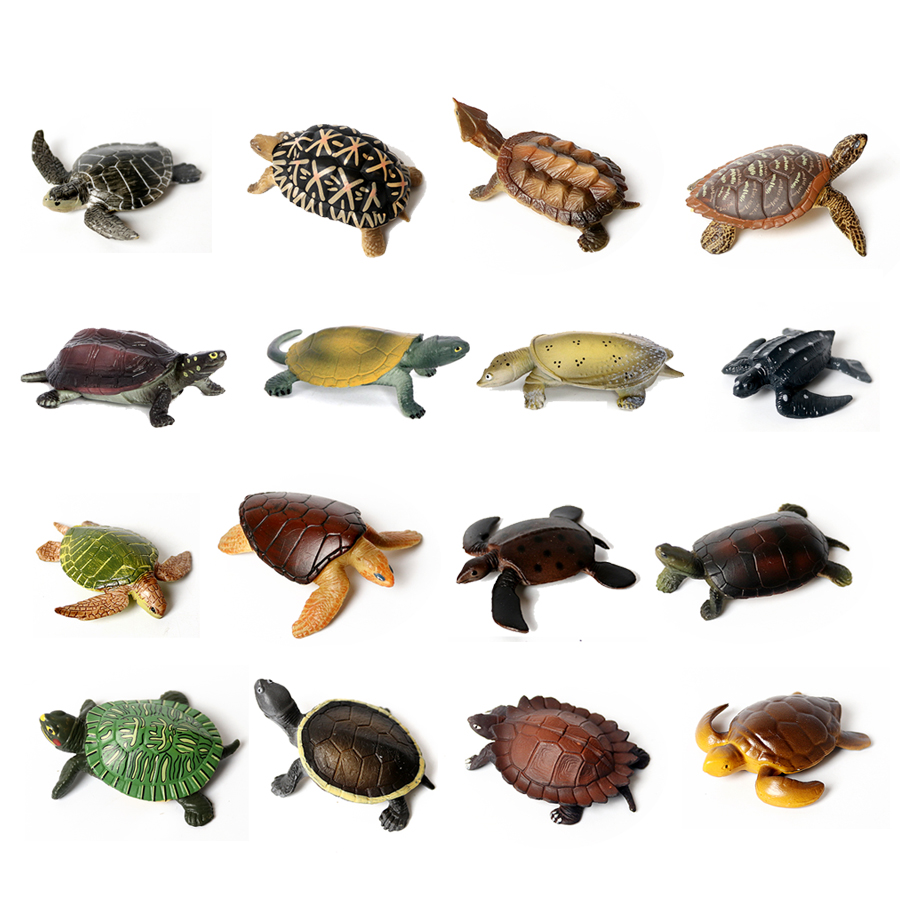 현실적인 미니어처 해양 생물 바다 거북이 모델, 해양  - Aquarium Marine 리뷰 및 가격